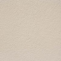 Exterior Wall Stucco Trends in 2024